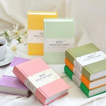 데일리 2023 pds다이어리 일간 다이어리 데일리리포트 미니) 프리즘 (날짜형, 민트라떼