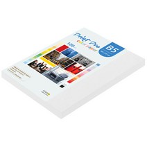 종이문화 프린트프로 칼라복사지 B5 120g No.30 스노우화이트 110매