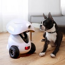 DOGNESS 펫케어 반려동물 로봇 강아지 간식 로봇 움직이는 강아지 장난감 펫캠, 블루