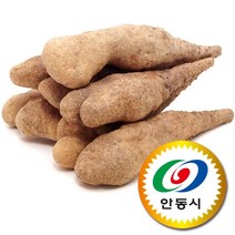 국산 안동 마 참마 산마 산약 생마 3kg 5kg 10kg, 1box, (6) 참마 못난이 하품 10kg