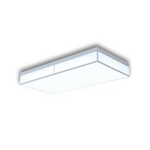 10평대 원룸 방등 LED 거실등 2등 60W LED전등 거실조명등 led전구