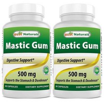 Best Naturals 매스틱검 위장건강 500mg 60캡슐, 2팩