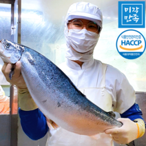 [미각만족] HACCP 얼리지않은 노르웨이 생연어 연어회 필렛 (몸+뱃살) 2kg 1kg 500g 300g, 03.생연어 필렛 1kg(라운드)