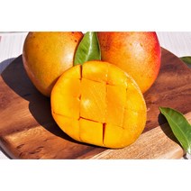 제주 애플망고 특급호텔 납품용 (미니 중과 대과 특대과 왕특대과) 2kg-3kg 선물세트, 왕특대과 3kg(5-6과) 선물세트, 3kg, 1개