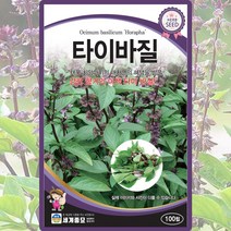타이바질 씨앗 바질 씨 종자 100립, 단품