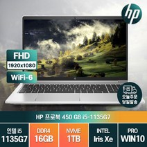 HP 프로북 450 G8 11세대 i5-1135G7 인텔 아이리스 Xe 그래픽스 가성비 노트북, 464P0AV, WIN10 Pro, 16GB, 1TB, 코어i5, 실버