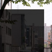 윈도우솔라필름(DBK05)-[폭]100cm 블랙 /가시광선투과율5%/자외선차단율99%, 사이즈선택