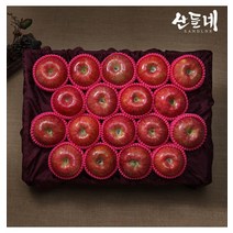 인정에프앤비/(산들네) 경북사과 선물세트 명품 2호(5kg 18과내)/롯데백화점