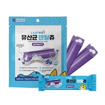라비벳 유산균 덴탈츄 소형, 1개, 99g, 블루베리맛