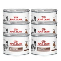 로얄캐닌 리커버리 캔 195g+6개 처방식.치료회복기.고양이.강아지 습식 RECOVERY, 6개, 195g