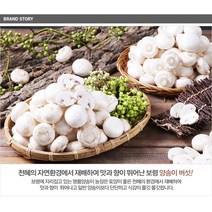 보령머쉬팜 양송이버섯파지2Kg/포타벨라버섯파지2kg/양송이버섯 꼬다마2kg, 양송이파지2kg