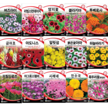 봄꽃 겹꽃 아마 부용화 아마 수국 세이지 아욱 플록스 국화 접시꽃 데이지 양지꽃 나팔꽃 사루비아 풍접초 투베로사 아도니스 클라키아 채송화 장미 봉선화 해바라기 꽃잔디 씨앗, 루피너스