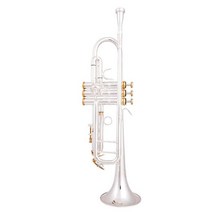 미국 바흐 트럼펫 LT180S-37 골드 구리 실버 도금 trompete, 04 빨간