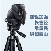 카메라거치대 삼각대 조절 촬영 Ruifutu SLR 카메라 스탠드 전문 휴대용 휴대 전화 라이브 셀카 Nikon Canon Sony 야외 앵글 스탠드에 적합, [01] 표준 버전 1.4미터 휴대폰/카메라용 범용 휴