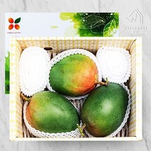 [웰굿]프리미엄 제주 왕망고 선물세트 3kg(3과 왕특과), 단품