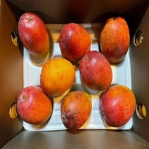 브로노아 협력업체 고당도 최상급 프리미엄 과일선물용 제주애플망고 제주망고 3kg 왕특대 5과, 5개