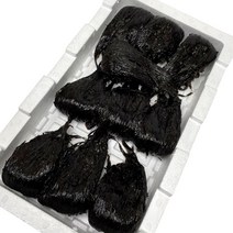 물김 생김 생물김 500g 1kg 5개 10개, 물김 1kg
