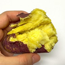 제주의만찬 23년 수확 햇 밤고구마 여주고구마 베니하루카, 1박스, 여주 밤고구마 5kg