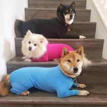 L 애견 중형견 대형견 올인원 실내복 내복 강아지 실내 시바견 리트리버 겨울옷 쫄쫄이 우주복 티셔츠, 검정