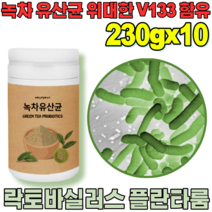 꼼꼼한 검수 통과한 자연이 주는 선물 락토 바실러스 플란 타룸 녹차 유산균 프락토 올리고당 위대한 V 133 녹자 우산균 위산균 유신균 프로바이오틱 가루 파우더 분말 파는곳 추천, 10