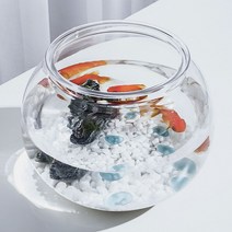 둥근 플라스틱 어항 원형 12.5X10cm 구피 베타 키우기 금붕어 거북이 물고기 물멍, 본상품선택