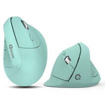 QSENN WM3100 버티컬 무선 마우스, 민트