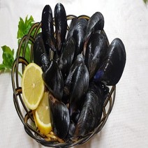 [수다모아]서울경기(일부지역제외) 당일배송 국내산 홍합 1kg 2kg