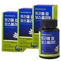 뉴트리원 트리플 업 보스웰리아 (90정) 보스웰릭산 울금 칼슘 아연 마그네슘 함유, 1개