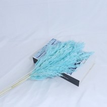 대형 화분 큰팜파스 잔디 말린 꽃 푹신한 자연 홈 보헤미안 장식 국가 웨딩, 07 G_01 5pcs
