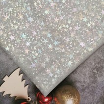 100x150cm 무지개 빛깔의 별 얇은 명주 그물 패브릭 웨딩 생일 DIY 파티 사진 배경 여성 투투 스커트 천 액세서리 공급, 1M Sliver