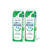 남양유업 맛있는우유 GT 소화 잘되는 배 안아픈 우유 남양우유 밀크 부모님 어른 아이 간식 900ml 2개 1세트