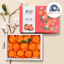 프리미엄 제주 레드향 레드향선물세트 제주도 레드향, 선물용 5kg (20과수내외 / 대과)