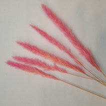 밍블랑 셀프인테리어 디퓨저재료 모음 DIY 디퓨저 공병 섬유스틱 리필오일 디퓨저스틱, 1개, 팜파스(핑크) 5대