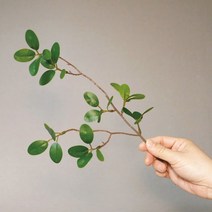 올리브 가지 미니 나무 조화 화병 세트 인테리어 꽃 선물, 미니 올리브 가지 1P