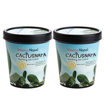 [선인장나라] 멕시코 노팔 선인장 수딩젤 크림 2개 [CACTUSNARA], 300ml