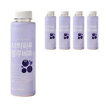 팜79 너의하루 블루베리 가루 5p, 2개, 250g