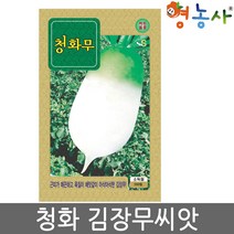 청화무씨앗 500립, 청화무