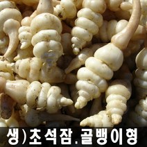 강원도 생초석잠 (대/중/소-선택) 평일 오후1시까지 당일발송, 1개, 생초석잠(중)-1kg