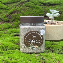 트리맘 바른 다육영양제 300g- 알비료 웃자람방지, 단품