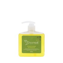에코띠끄 친환경 천연 1종 주방세제 용기 500ml, 1
