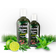 멕시코 내추럴 그린 허브 샴푸 탈모 샴푸 탈모 조절 및 완화 1개 The Herbal Shampoo Verde Natural