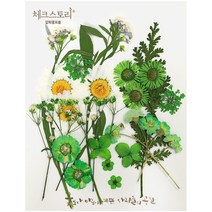 압화 컬러믹스 종합팩 꽃모음 17종 압화공예 액자 레진공예, 그린1