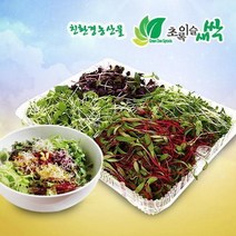 기타 초록이슬새싹/어린잎채소(200g)/브로콜리/유채/콜라비/적무/배추/무공해식품/무농약, 단품없음