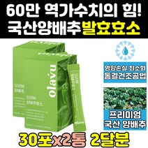 속편한 역가수치 높은 곡물 발효 양배추 효소 제 2통 가르스토 알파 아밀라아제 분말 파우더 탄수화물 역가수치높은효소 단백질 프로타아제 식품 제품 효능 분해 스틱 효소제 홈쇼핑