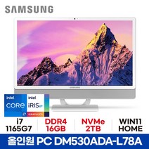 삼성 올인원PC DM530ADA-L78A - 16GB 2TB WIN11 HOME 사무용 가정용 공간활용 일체형PC ED