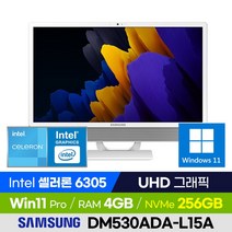 삼성전자 삼성 올인원PC DM530ADA-L15A 사무용 인강용 가정용 가성비 일체형PC (셀러론/UHD그래픽/윈도우11 Pro), 4GB, 윈도우 포함, 256GB
