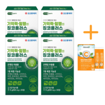 코오롱제약 고함량 징코 플러스 기억력 혈액순환 혈행 기능 도움 뇌 두뇌 손발 다리 혈관 에 좋은 영양제 은행잎추출물 빌로바 부모님 감퇴 더올타임 사은품, 30정*4개월_4박스+더올타임사은품