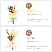 드라이플라워 인테리어 액자용 초미니 엽서카드, 1개, 1-4 White