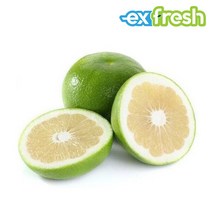 익스프레쉬 메로골드 청자몽 스위티 메로골드자몽 중과 6입 2kg