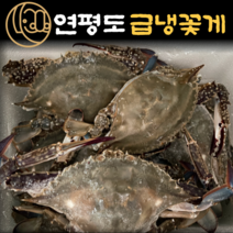 [미소가] 국산 연평도 냉동꽃게 간장게장용 양념게장용 암꽃게 숫꽃게 급냉꽃게 1kg 2kg, 2.급냉꽃게 암꽃게 대 1kg [3~4미]